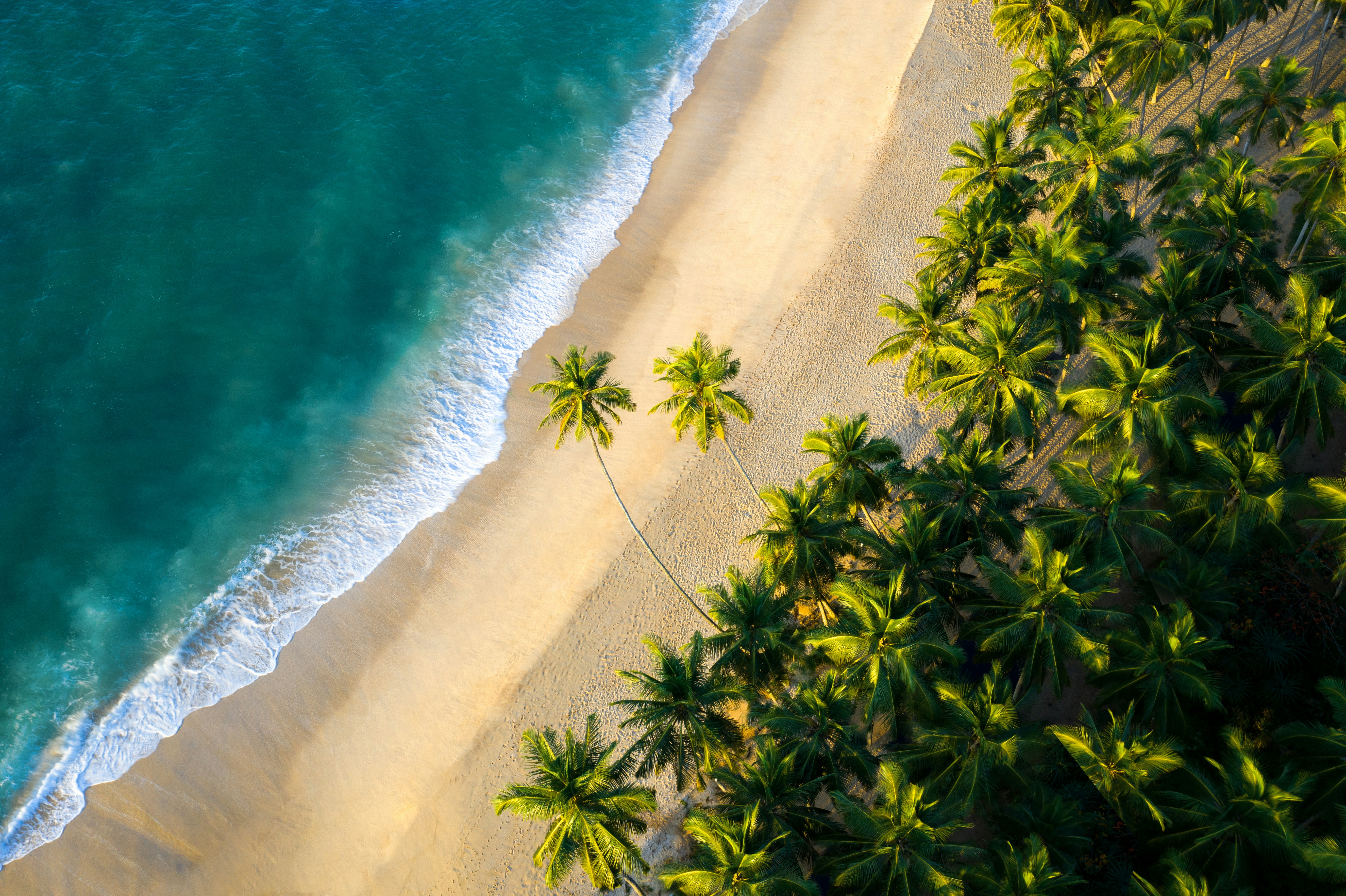 amal prasad ztFkvmLKTcY unsplash